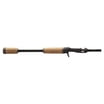 Jigging World Raptor Conventional Rods - Walmart.com