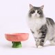 thumbnail image 4 of Cuenco elevado de comida para mascotas de cerámica para gatos y perros pequeños MFZFUKR BST3010767-3, 4 of 6