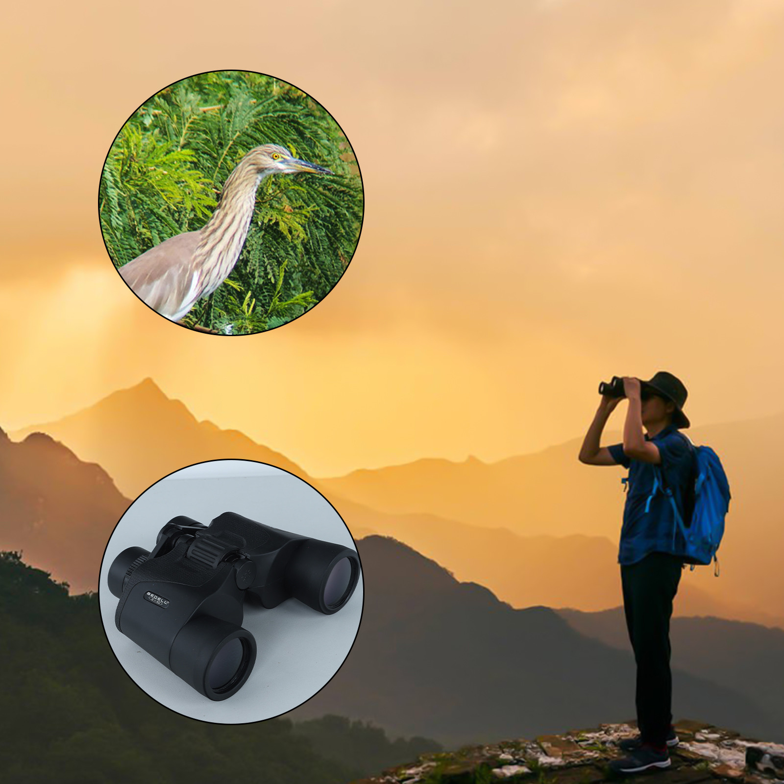 Big holiday Savings! 8 X 40 Binoculars for Adults High Definition Large