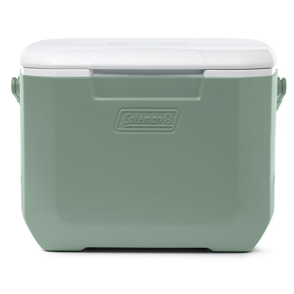 Glacière portative Coleman Chiller 15,1 L (16 pintes), glacière isolée pour les lunches et les boissons, vert de mousse hickory
