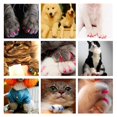 thumbnail image 2 of Cat Nail Caps Set Pet Cat Nail Cat Soft Claws Nail Covers for Cat Claw, 2 of 5