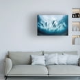 thumbnail image 2 of Trademark Fine Art Davide Lopresti Swim Canvas Wall Art - 22x32, 2 of 5