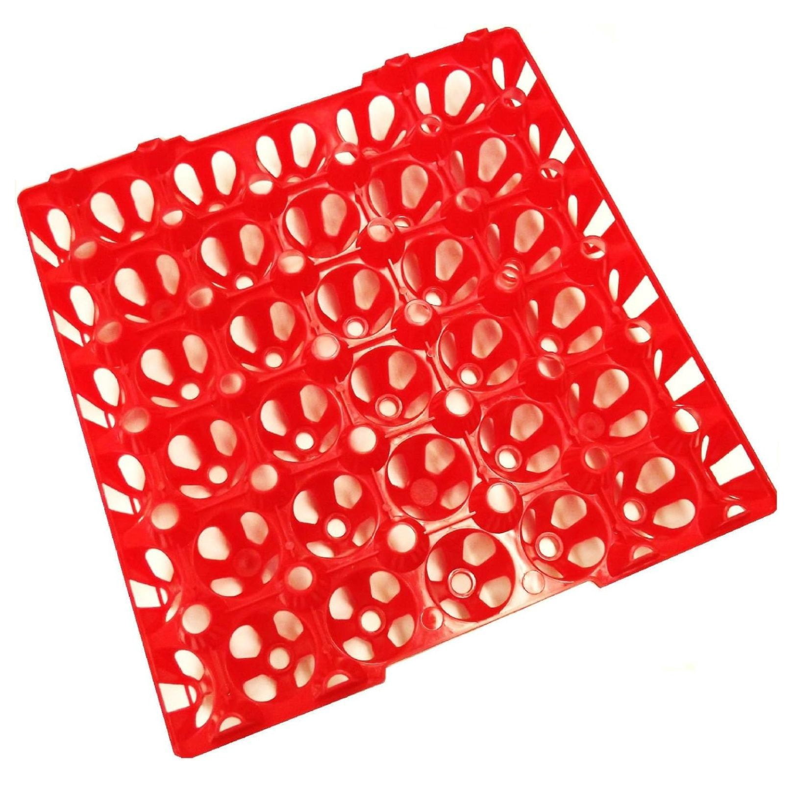 Zazesaby 24 30 Egg Chicken Trays Shipping Carton Poultry Flat