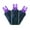 Purple, variant on Vickerman 50 Warm White Wide Angle LED Light on Green Wire, 25' Christmas Single Mold Light Strand