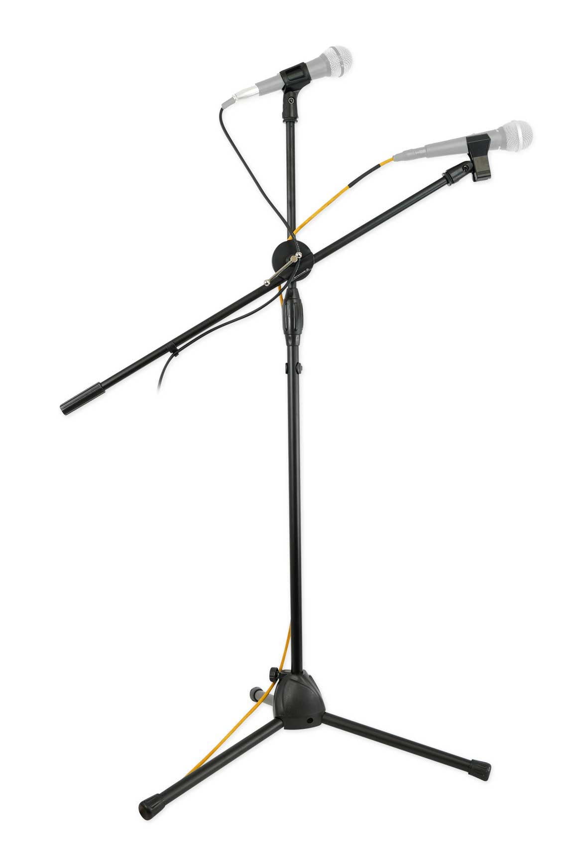 Microphone stand with microphone