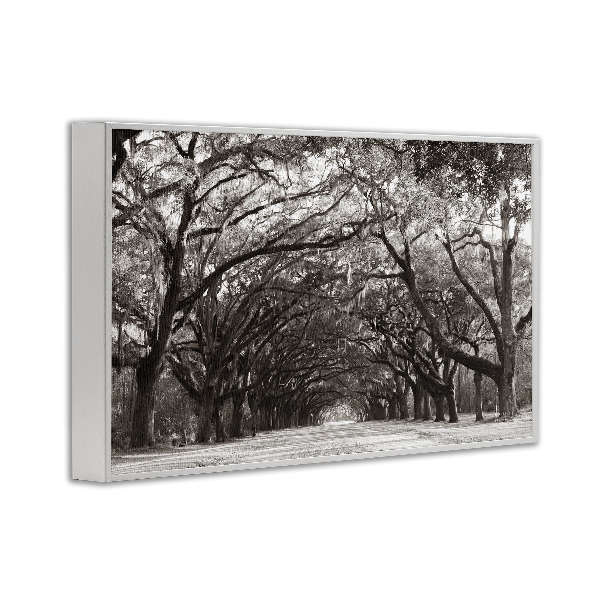 Stupell Industries Georgia Stroll Tree Tunnel White Framed Giclee Art, design by Nathan Larson