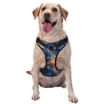 thumbnail image 1 of Fotbe Elegant Blue Gold Blooms Arnés para Perro con Estampado –Chaleco Ajustable Acolchado con Asa de Control para Perros Grandes-Large, 1 of 6