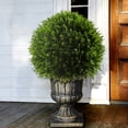 thumbnail image 2 of 27" Artificial Upright Juniper Ball Topiary, 2 of 3