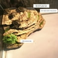 thumbnail image 3 of Fish Tank Decor Aquarium Resin Reptile Turtle Tortoise Terrace Hole Cave Rock Fish Tank Decor, 3 of 6