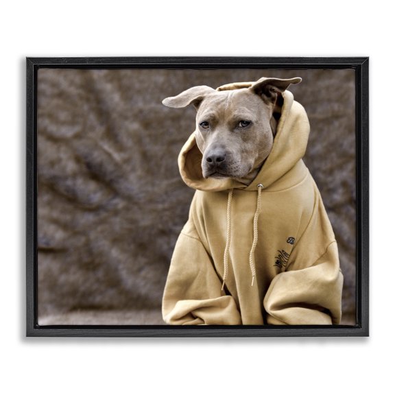 Stupell Industries Eclectic Dog Wearing Yellow Hoodie Black Floating Frame Canvas Art, 21 x 17, by Michael Brian