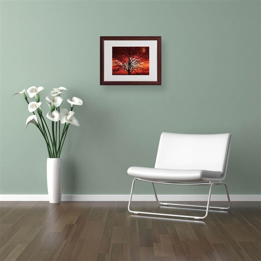 Trademark Fine Art "Big Bad Moon" Canvas Art by Philippe Sainte-Laudy, Wood Frame