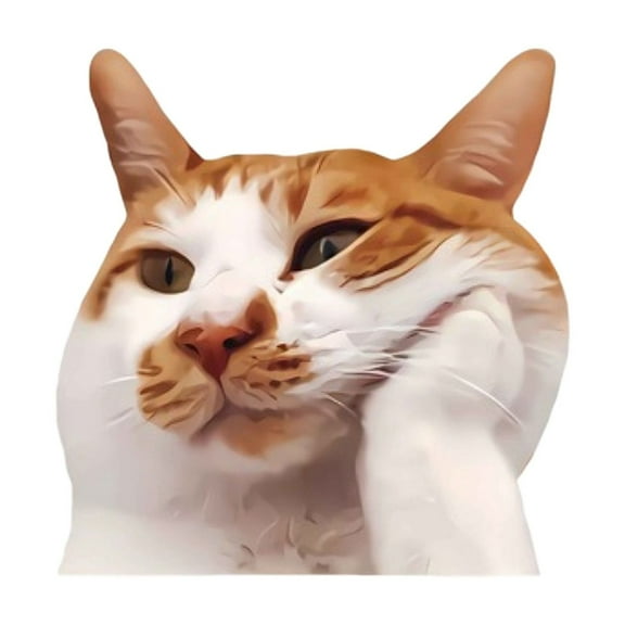 Cat Expression Car Window Sticker Decal Funny Rear Window Decoration Plastic 6.30X6.30X0.08 Inch White