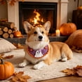 thumbnail image 4 of KKOUHVY Halloween Knitted Pet Collar, Halloween Ghost Cat Dog Knitted Collar, Dog Cat Collars for Kitties Small Medium Dogs Party Outfit, Purple(L), 4 of 7