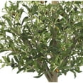 thumbnail image 5 of Nearly Natural 54" Olive Double Ball Topiary Artificial Tree, 5 of 7