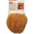 thumbnail image 4 of Esponja para pintar Armaly ProPlus, esponja natural marrón (paquete de 6), 4 of 4