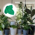 thumbnail image 1 of unbranded 2Ud Protector Para Plantas Con Tela No Tejida Y Cordón Para Uso Exterior, 1 of 6