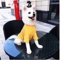 thumbnail image 5 of SPRING PARK Pet Dog Clothes Solid Color Dog Soft Texture Shirt Dogs Shirt Casual Puppy Sweater for Dogs, 5 of 7