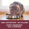 Purina ONE High Protein Dry Cat Food, +Plus Urinary Tract Health