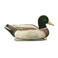 thumbnail image 2 of Higdon Magnum Foam Filled Flocked Head All Drakes Mallard Duck Decoy Polymer 6PK, 2 of 4