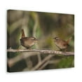 thumbnail image 2 of Funny Wren Silly Wren Scene Couple Wall Art Ready to Hang Unframed, 2 of 18