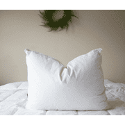 Pillowtex 75% White Duck Feather/ 25% White Duck Down Standard Pillow