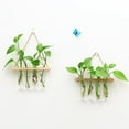 thumbnail image 4 of de cristal colgante de pared estación de reproducción tubo florero contenedor de agua decoración para en hogar boda Natural Colco Florero colgante de tubos de ensayo, 4 of 8
