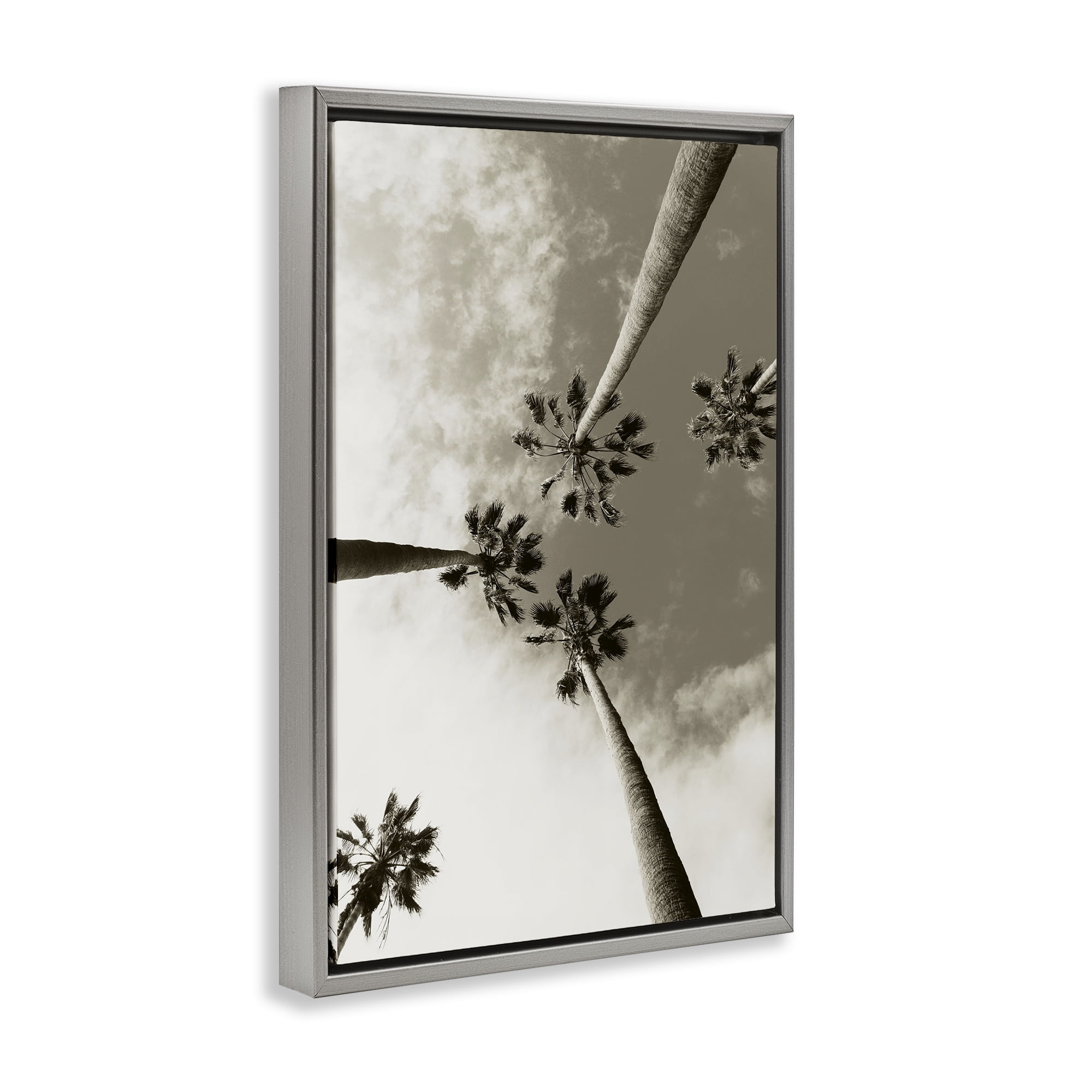 Stupell Industries Centric Palm Trees Botanical & Floral Photography Gray Floater Framed Canvas Art Print Wall Art, 21 x 31
