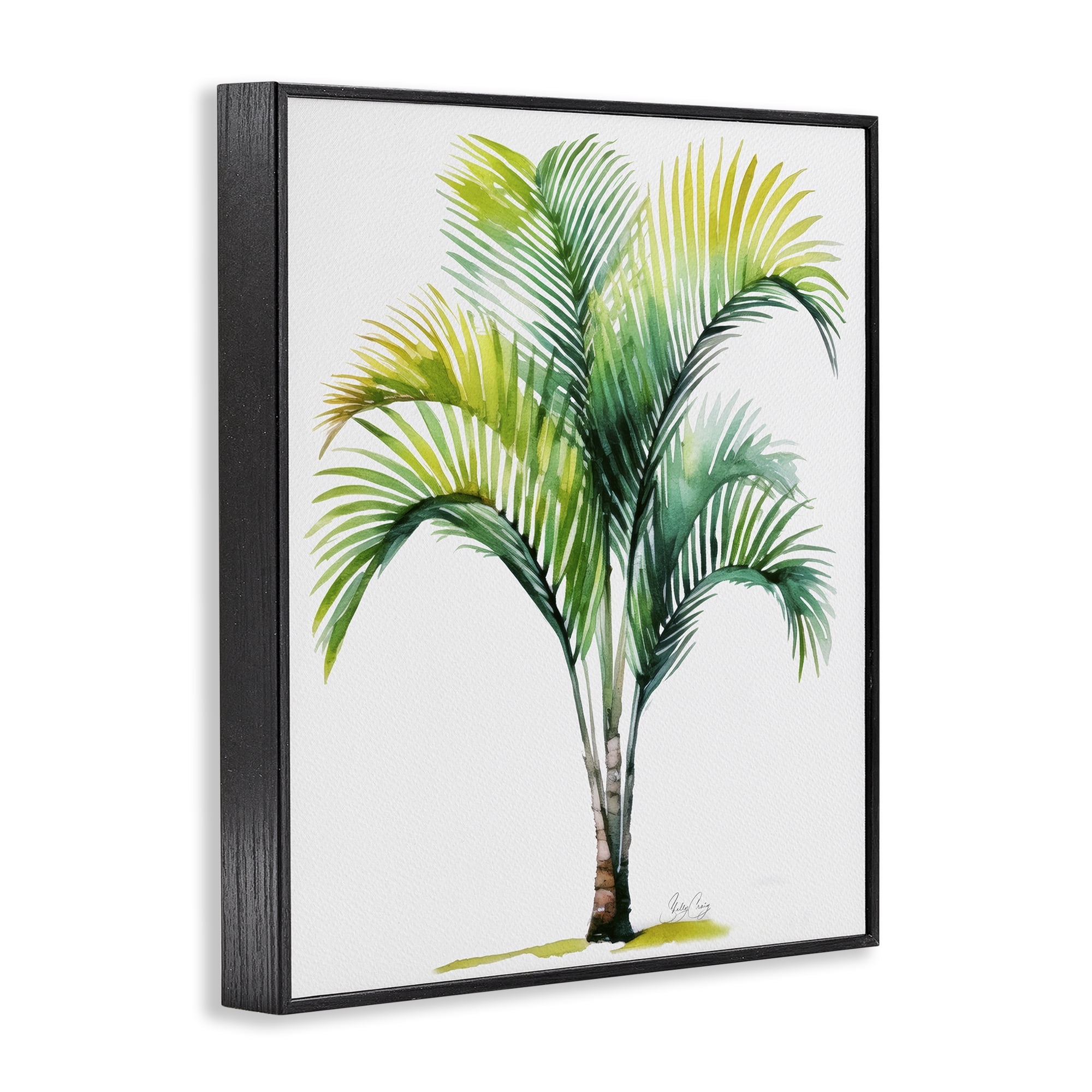 Stupell Industries Coastal Canopy Palm Tree Black Framed Giclee Art, design by Shelly Craig
