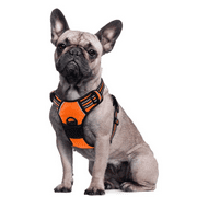 Yewang Dog Harness for Large Dogs Anti Pull Harness No Pull Safety Harness Small Medium Dogs Chest Harness Dog Harness Soft Padded Breathable, Orange xl