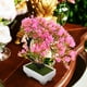 thumbnail image 2 of Plantas verdes simuladas en macetas falsas bonsai decoración de la planta falsa decoración del hogar, 2 of 8
