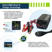 ExpertPower 12V 20A Smart Charger for Lithium LiFePO4 Deep Cycle Rechargeable Batteries…