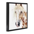 thumbnail image 2 of Stupell Industries Farmhouse Majestic Mane Spotted Horse Black Floating Frame Canvas Art, 18 x 18, by Svetlana Aleynikova, 2 of 8