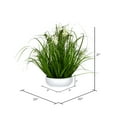 thumbnail image 2 of Vickerman 21" Artificial Potted Cream Cosmos and Green Grass., 2 of 2