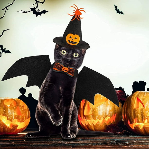 S) Ailes de chauve-souris de chat, costume d'Halloween pour chat