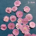 thumbnail image 2 of 10 x Hoja Flores Secas Decoración de Caja de Teléfono de Marcador de Libro - 4 Tipos - #2 02 Sunnimix Flor seca prensada, 2 of 8