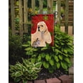 thumbnail image 2 of Carolines Treasures SS4729-FLAG-PARENT Buff Cocker Spaniel Red Green Snowflakes Christmas Flag  multicolor, 2 of 2