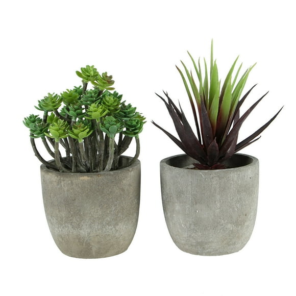 MasteelfCA 2Pcs Retro Decorative Faux Succulent Artificial Succulent Fake Simulation Plants with Pots (Dark Aeonium and Red Gladiolus)