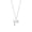 Silver Aquarius, variant on Women's Stainless Steel Dainty Zodiac Collar Chain Small Constellation Horoscope Necklace Gold Pisces
