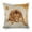 Lion, baby lion 1, variant on sunflowers butterflies Linen toss pillowcase decoration pillowcase gifting preferred 18x18 inch cushion cover sofa pillowcase sofa bedroom living room car
