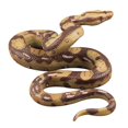 thumbnail image 1 of Efecto vívido serpiente falsa novedad juguetes para niños broma sorpresa simulación serpiente E65D, 1 of 4