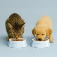 thumbnail image 4 of STAUB Ceramique Pet Bowl 800 ml, Ceramic, Light Blue, 4 of 10