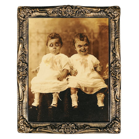 Fun Express - Twins 17 X 21 Holograph Portra for Halloween - Home Decor - Decorative Accessories - Wall Decor - Halloween - 1 Piece