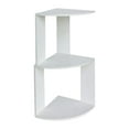 thumbnail image 1 of jifeng 2 Tier Storage Rack Cosmetic Storage Holder Sundries Display Shelf Wall Mounted S, 1 of 9