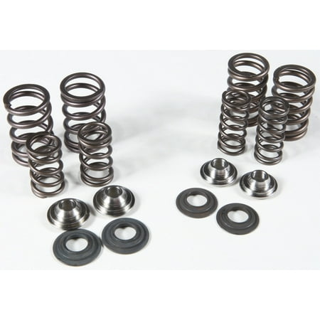 

KPMI VALVE SPRING KIT