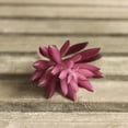thumbnail image 3 of 10PCS Artificial Succulents Decorative Mini Lifelike Simulated Plants Home Decor, 3 of 9