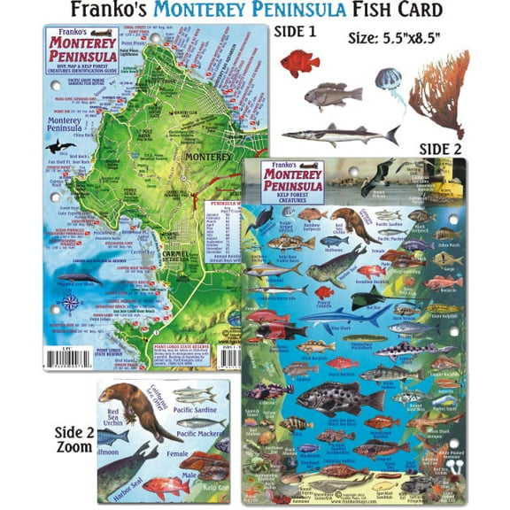 Franko Maps - Monterey Peninsula Fish ID
