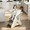 Grey, variant on Wohh 3 in 1 Multi Functional Growing Up Dining Chair for Eating, Convertible Baby High Chair Toddler Learning Tower & Step Stool, Adjustable Height with 5-Point Harness, Removable Tray(Green)