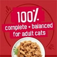 thumbnail image 4 of Purina Friskies Wet Cat Food Variety Pack, Prime Filets with Beef, With Chicken, With Ocean Whitefish and Tuna and Turkey Dinner, 48 Pack, 5.5 oz Cans, 4 of 9