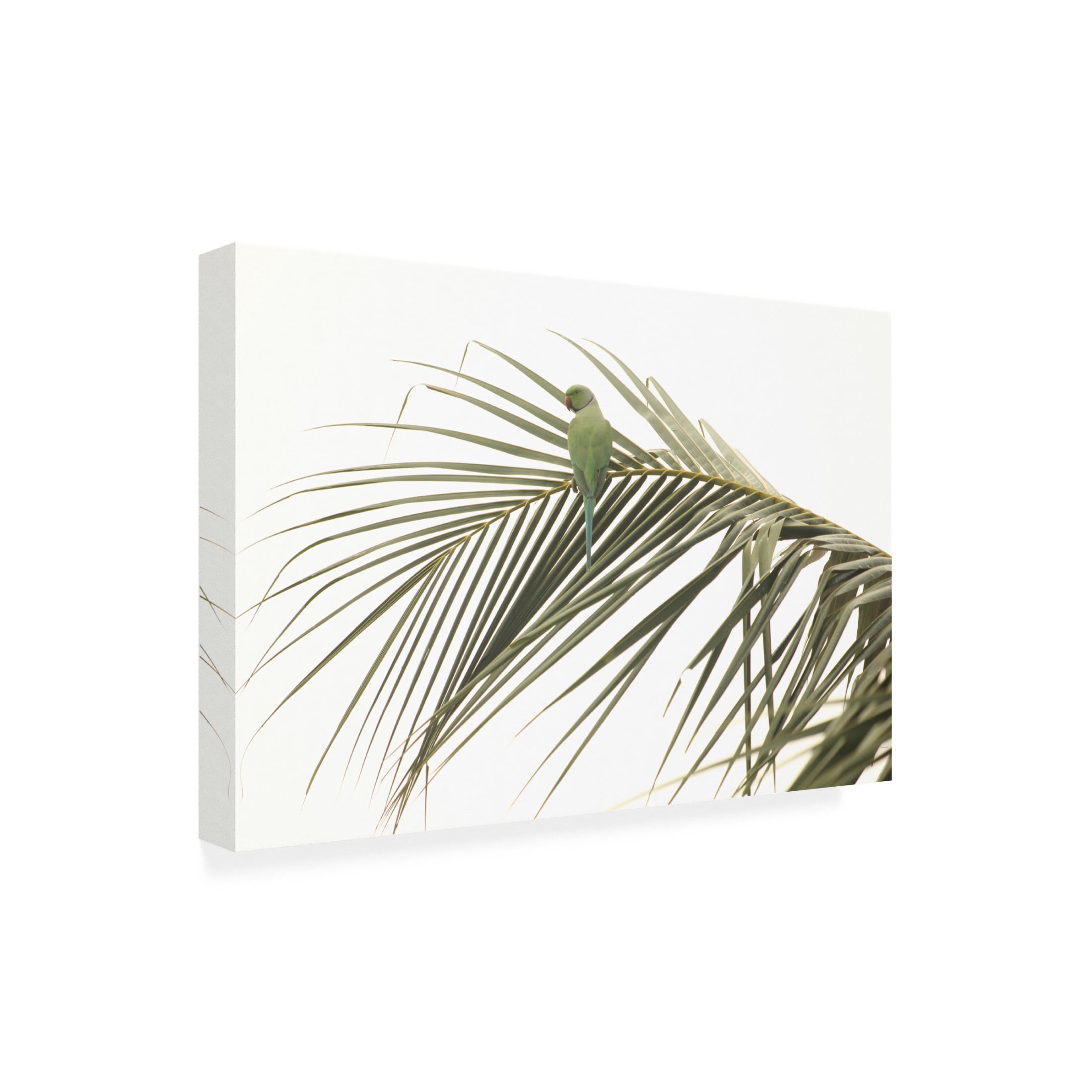 Trademark Fine Art N R GOVINDARAJAN Perched Canvas Wall Art