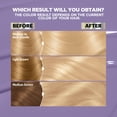 thumbnail image 5 of Garnier Nutrisse Ultra Nourishing Permanent Hair Color, LB1 Ultra Light Cool Blonde, 5 of 9